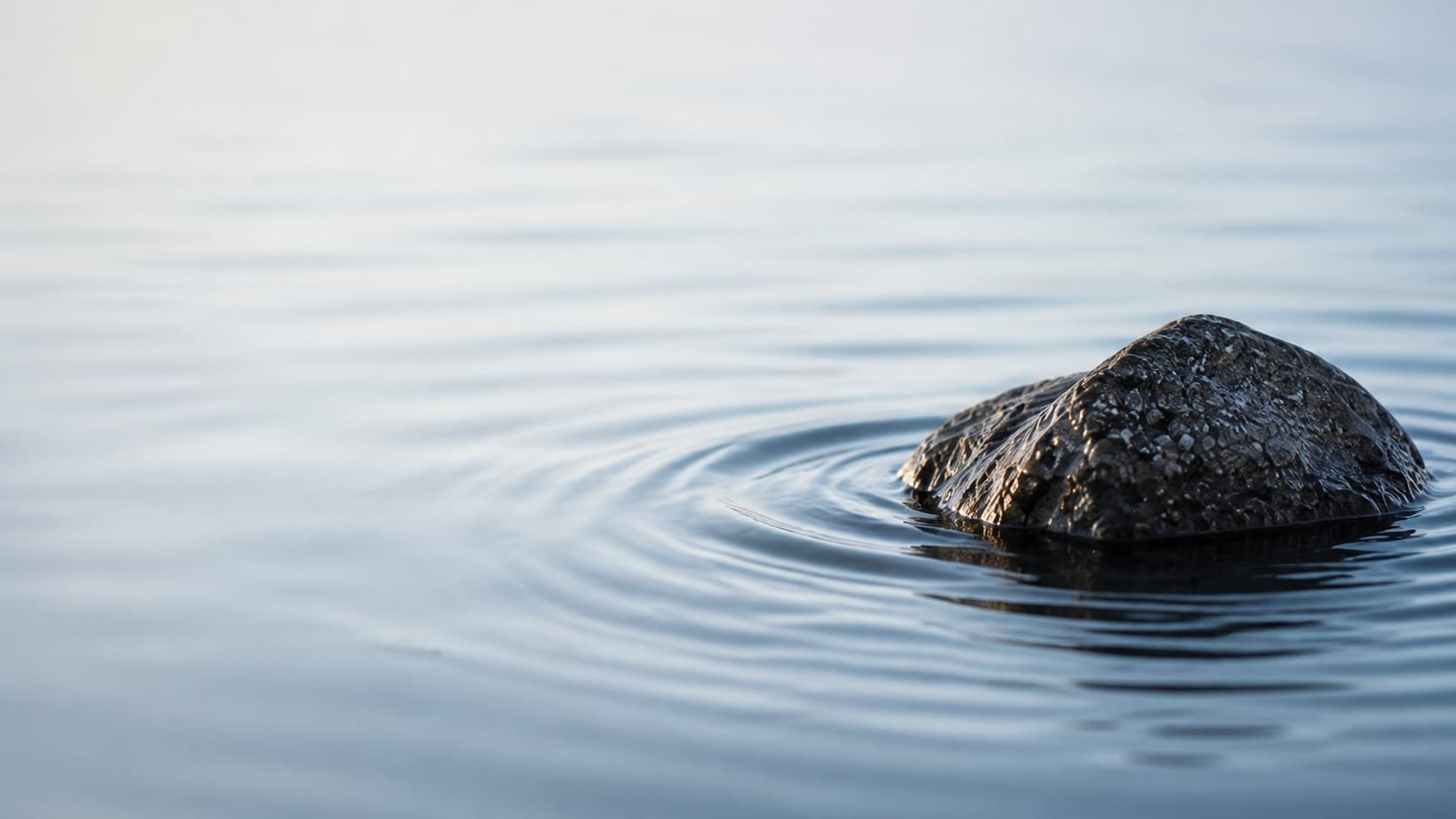 A steady rock resting in calm water